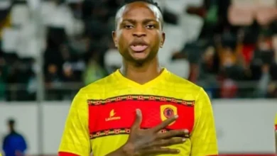 شيكو بانزا أنجولا